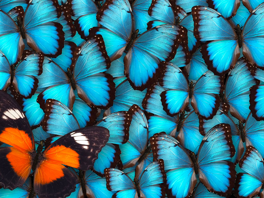 Weber Shandwick Named Healthcare Consultancy of the Year